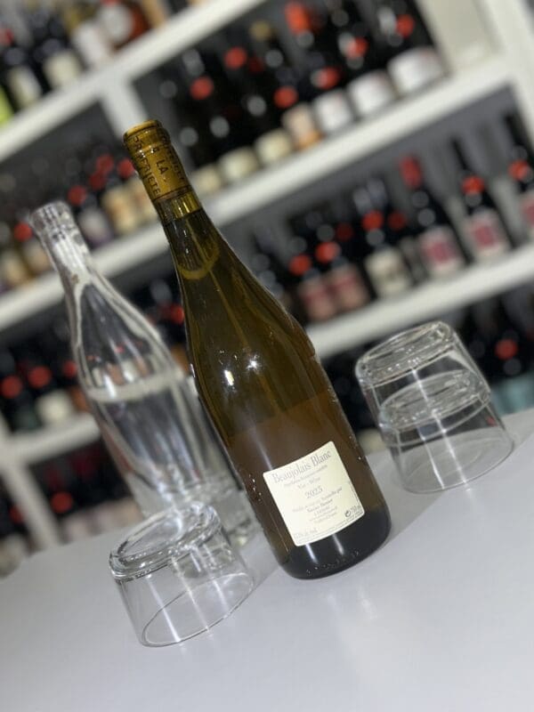Beaujolais Blanc 2023 - Xavier Benier