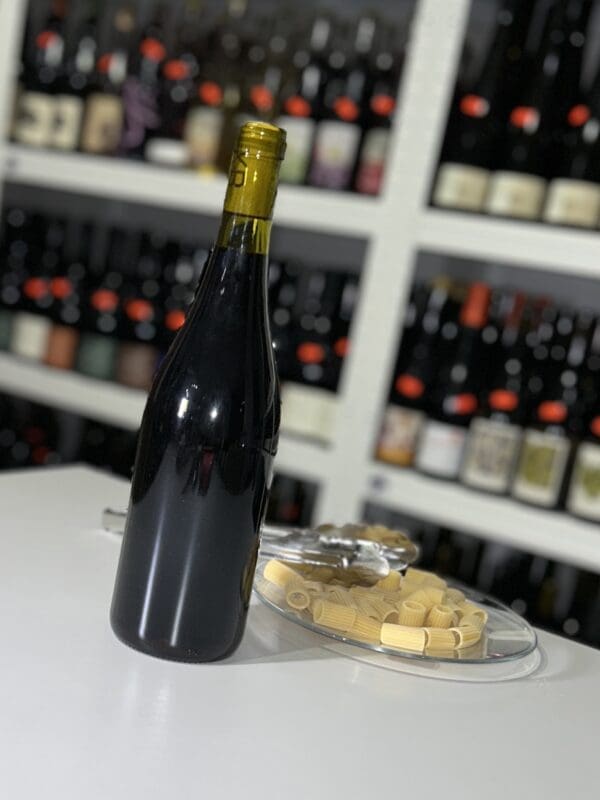 Beaujolais Villages Nouveau 2022 - Xavier Benier