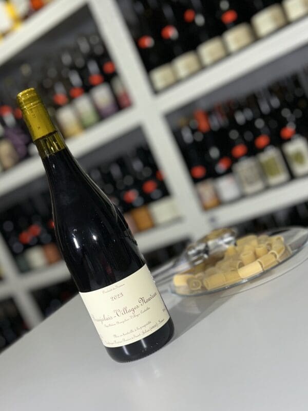 Beaujolais Villages Nouveau 2022 - Xavier Benier