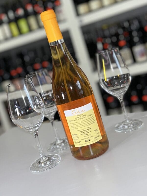 Gill 2022 - Gueli Vini