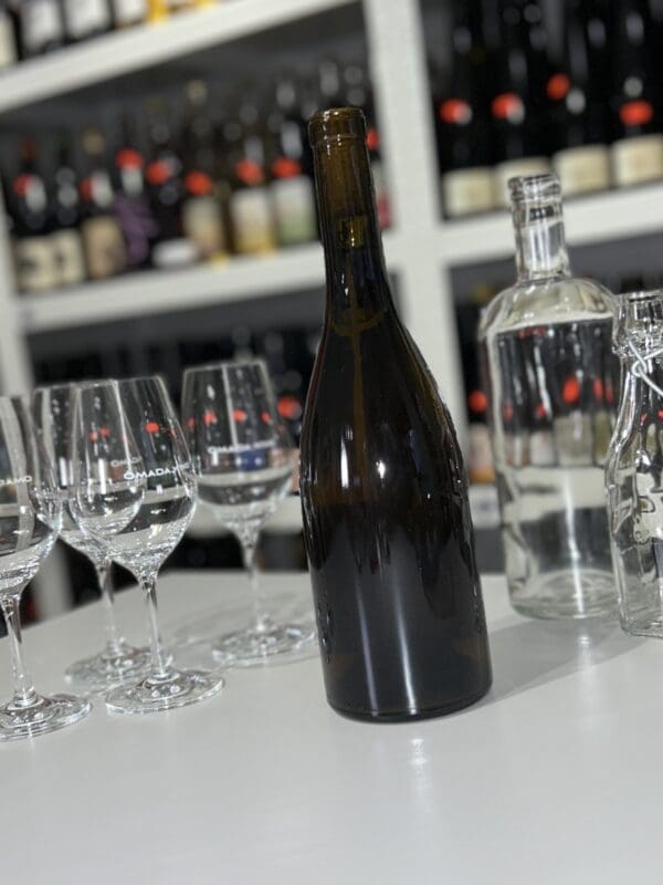 Lloberes 2022 - Les Salicaires back