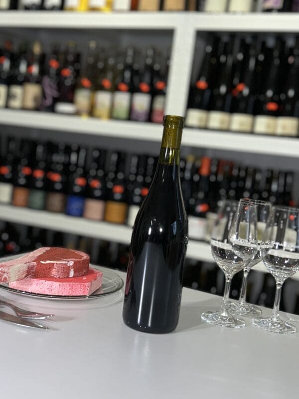 Metisse 2020 - Garo'Vin back