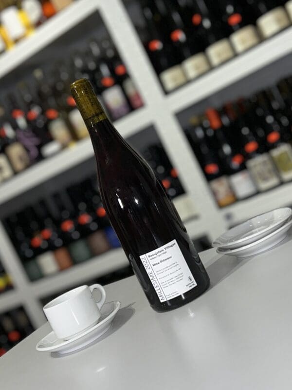 Premier Jus 2022 - P'tit Grobis back