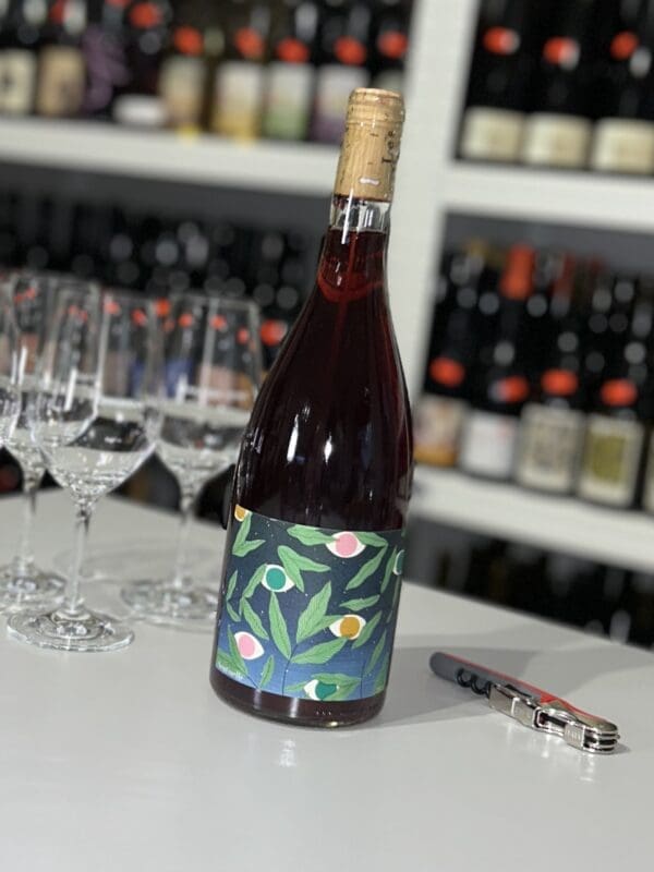 Sentinelle 2021 - Les Salicaires front