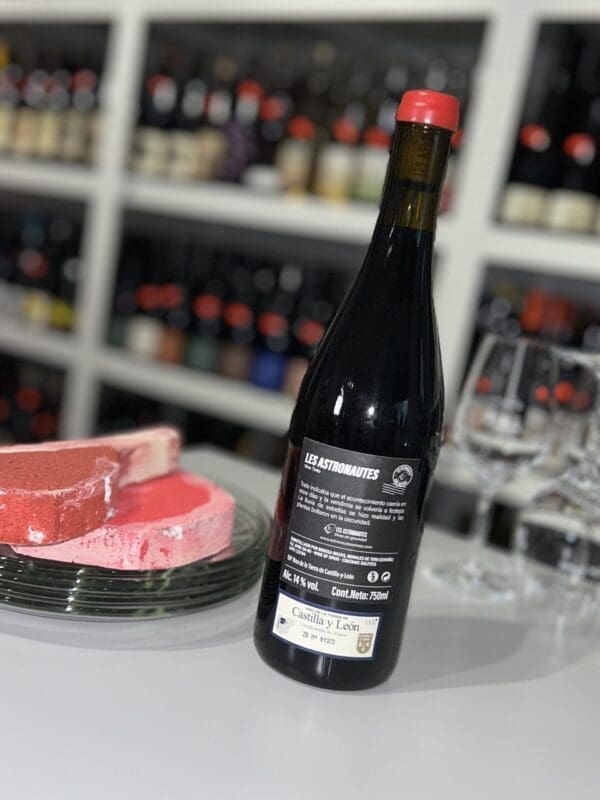 Tinto 2021 - Les Astronautes back