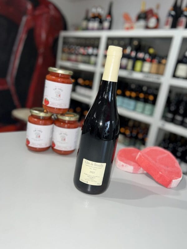 Côtes de Brouilly 2023 - Xavier Benier