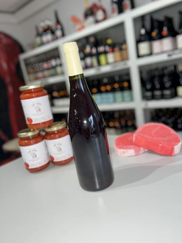 Beaujolais Villages Nouveau 2025 - Xavier Benier