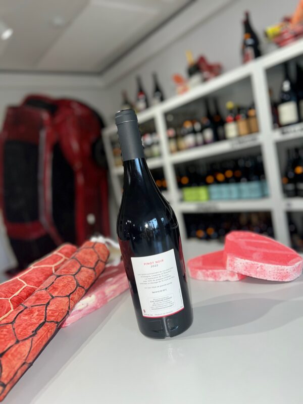 Pinot Noir 2022 - Domaine Overnoy