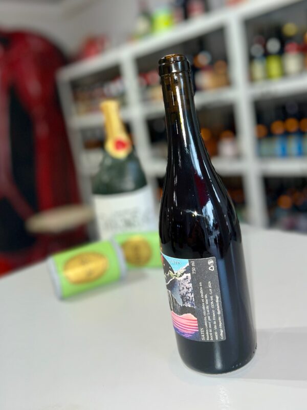 Satin 2024 - Lucile Martin