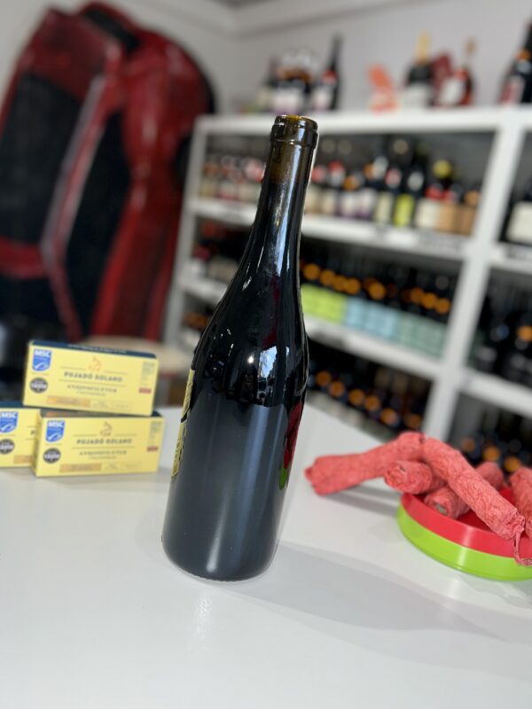 Il Classico 2023 - Luca Bambara